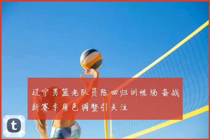 辽宁男篮老队员陈回归训练场 备战新赛季角色调整引关注