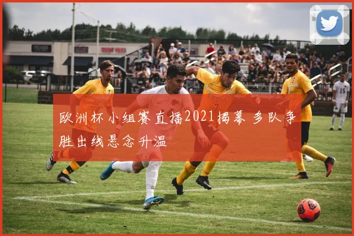 欧洲杯小组赛直播2021揭幕 多队争胜出线悬念升温