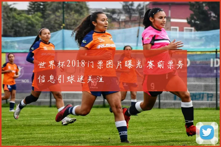 世界杯2018门票图片曝光 赛前票务信息引球迷关注