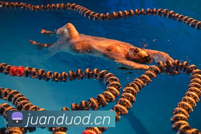 中国(九游会·J9)官方网站 - 首页APP 体育赛事宣传图